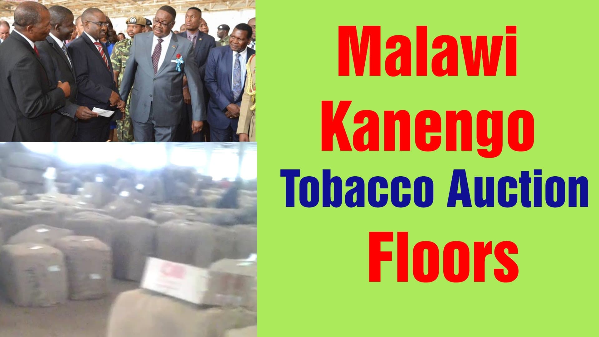 Malawi Kanengo Tobacco Auction Floors