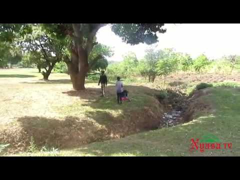 Malawi Police brutality slapping school girls - NyasaTV